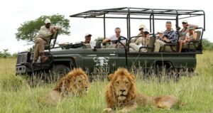 Game Drives